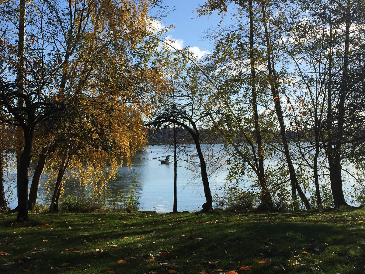 A walk around Green Lake Mon Petit Seattle