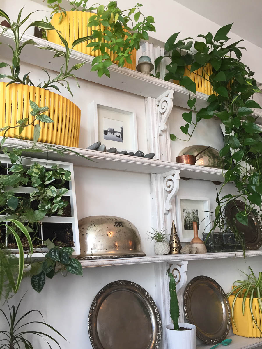 Juice Box Cafe Mon Petit Seattle