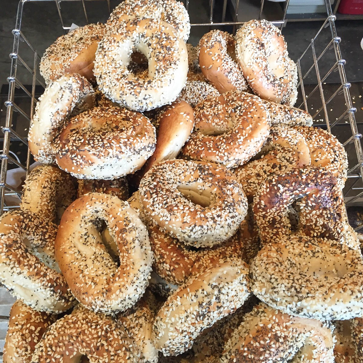 Eltana's Bagels Mon Petit Seattle